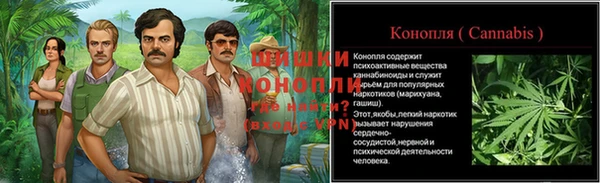 ПСИЛОЦИБИНОВЫЕ ГРИБЫ Абаза