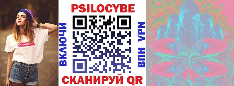 купить закладку  Переславль-Залесский  Псилоцибиновые грибы Psilocybine cubensis 