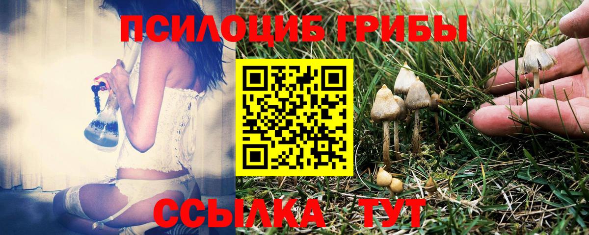 Переславль-Залесский  Псилоцибиновые грибы Psilocybe  Вход с VPN 