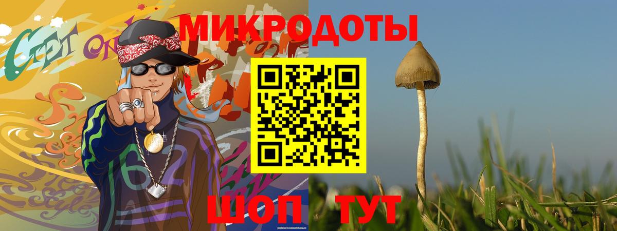 Галлюциногенные грибы Cubensis Переславль-Залесский